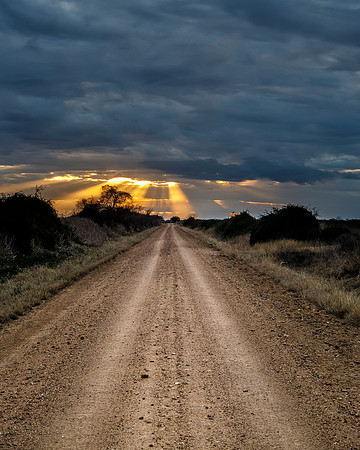 The Road Home