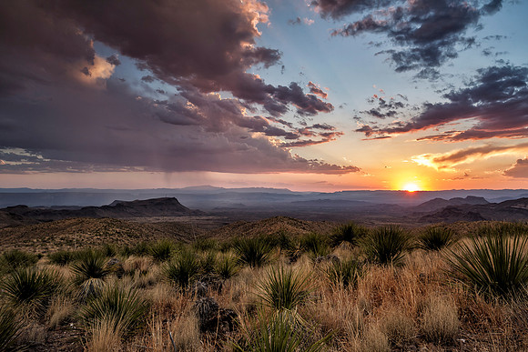 Sotol Vista Sunset
