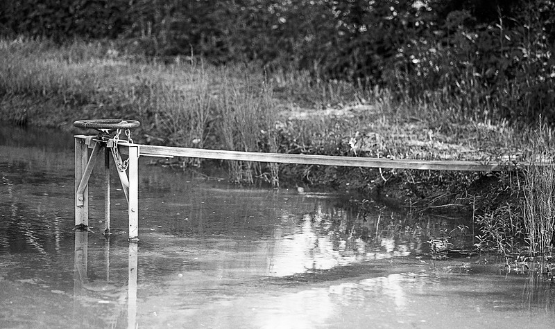 IMAGE: https://wildlightimagingstudio.com/img/s/v-10/p2952848227-4.jpg