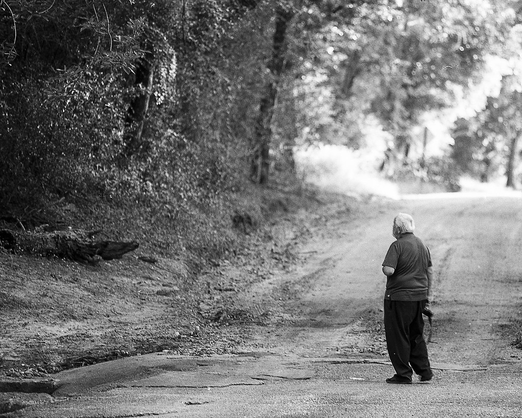 IMAGE: https://wildlightimagingstudio.com/img/s/v-10/p2953467843-5.jpg