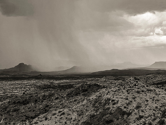 Rain in the Desert