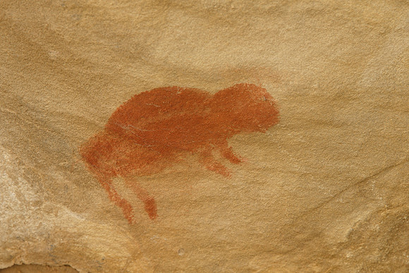 Red Buffalo