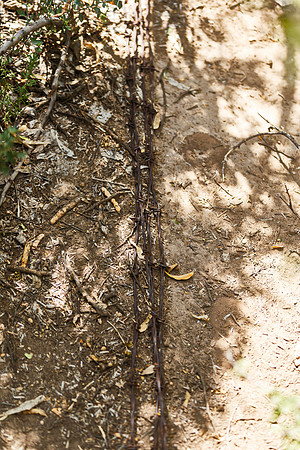 Sam Nail Ranch