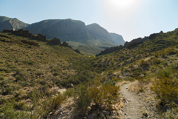 Ward Spring Trail