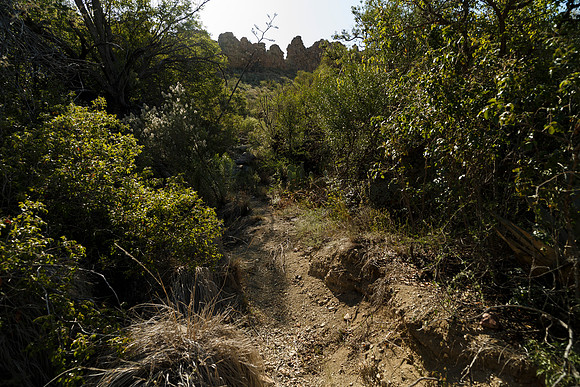 Ward Spring Trail