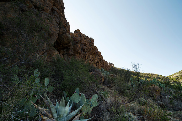 Ward Spring Trail