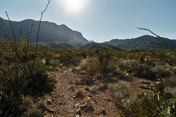 Ward Spring Trail