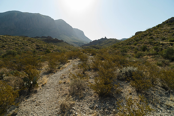 Ward Spring Trail