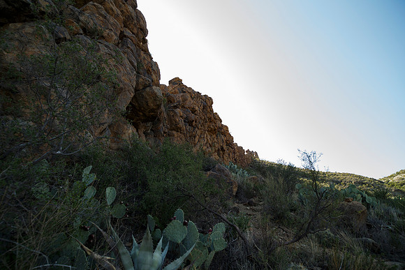 Ward Spring Trail