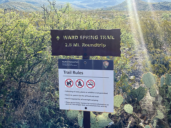 Ward Spring Trail