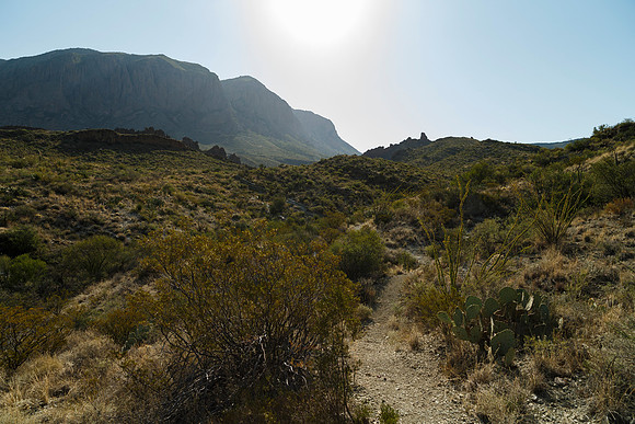 Ward Spring Trail