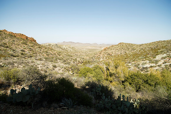 Ward Spring Trail