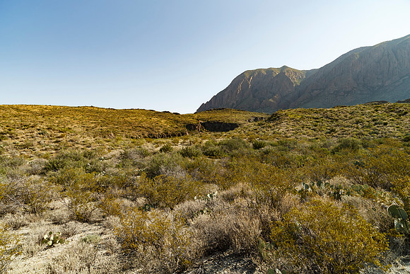 Ward Spring Trail