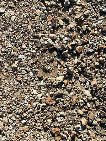 Ward Spring Trail Circles
