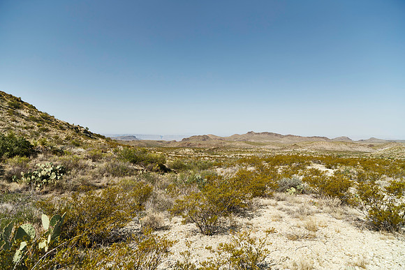 Ward Spring Trail