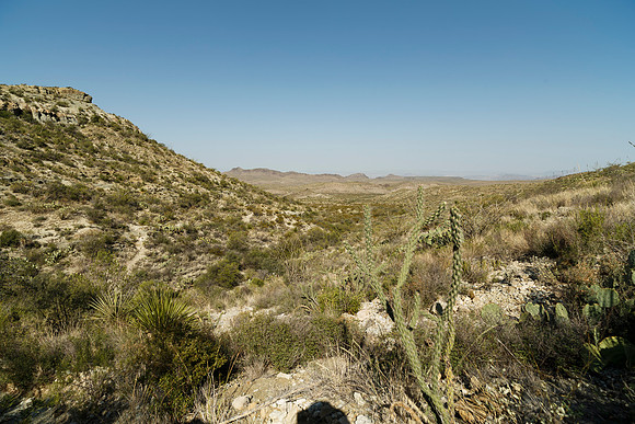 Ward Spring Trail