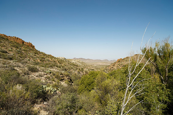 Ward Spring Trail