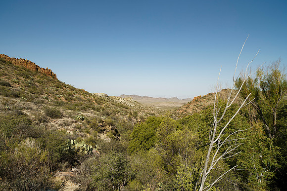 Ward Spring Trail
