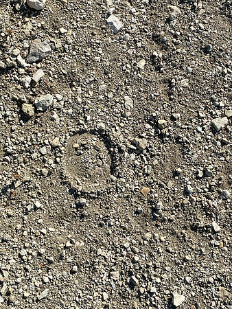 Ward Spring Trail Circles
