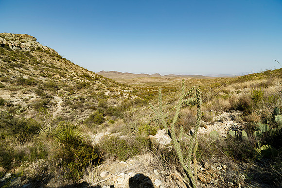 Ward Spring Trail