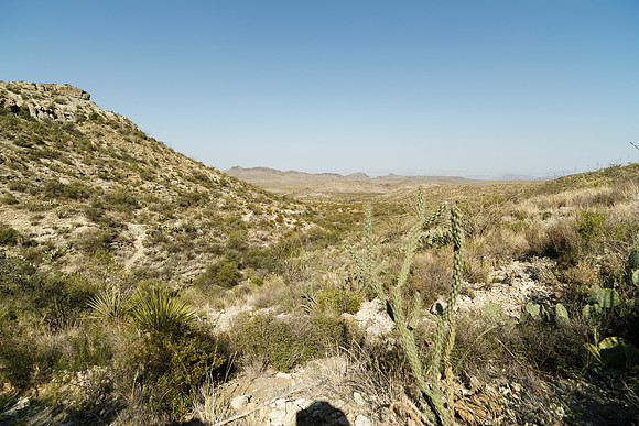 Ward Spring Trail