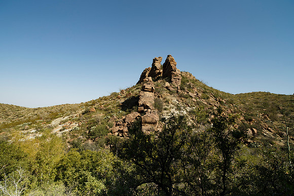Ward Spring Trail