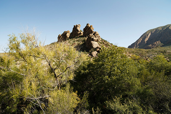 Ward Spring Trail