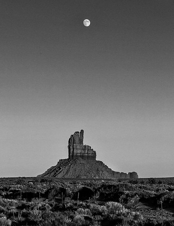 Shoot the Moon