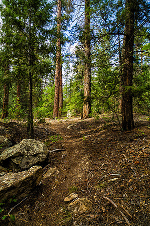 Trail to Nogales Ruin