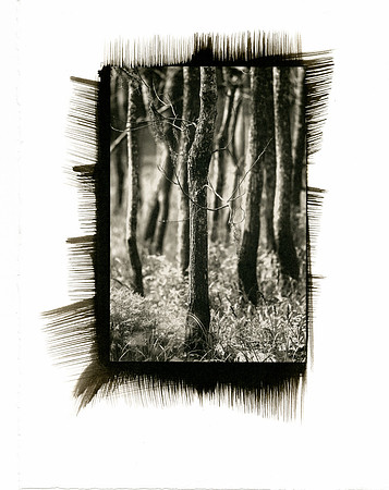 Beckoning