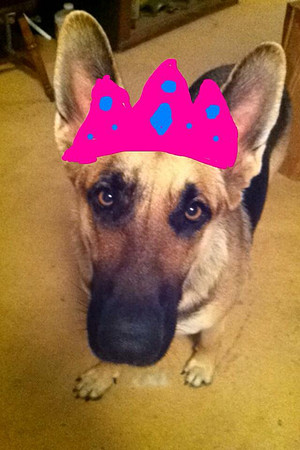 Princess Allie