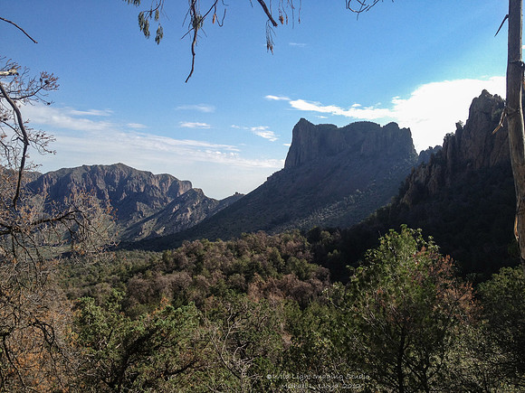 iPhone-IMG_2119s