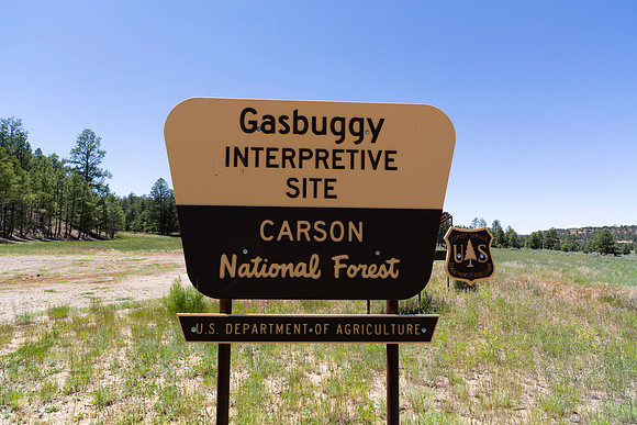 Gas Buggy