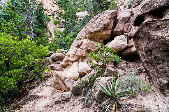 Nogales Ruin