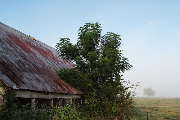 Morning Light_MG_1425