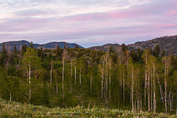 Shadow Mountain Sunset_MLL4771