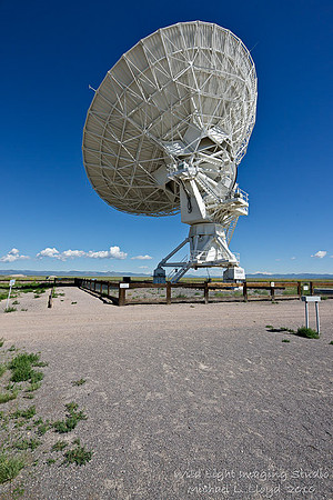 VLA_MLL1137