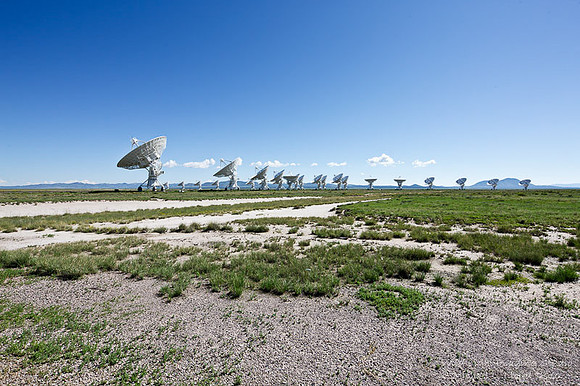 VLA_MLL1136