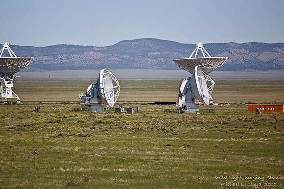 VLA_MLL8317