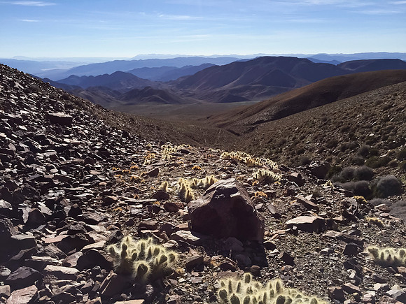Death Valley