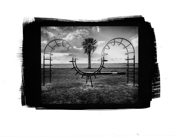 Jungle Gym 8x10 Platinum