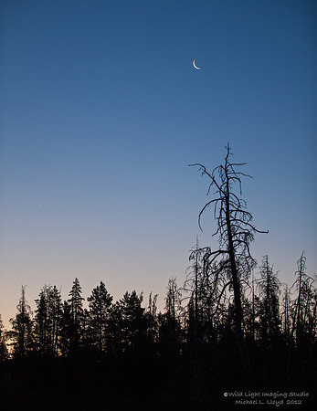 Morning Moonrise_MLL4747c