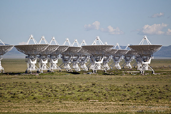 VLA_MLL8315