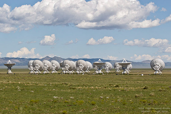 VLA_MLL8318