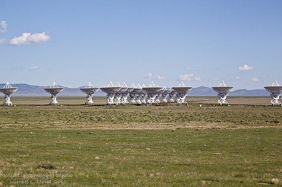 VLA_MLL8312