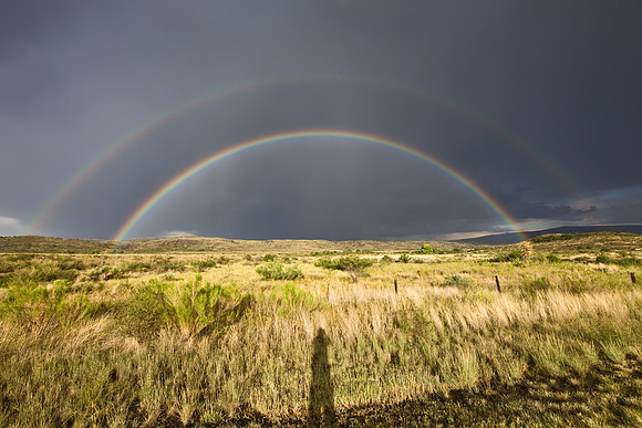 Rainbow_MLL8023