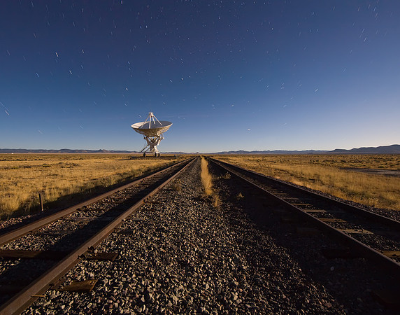 VLA_YM4L4169