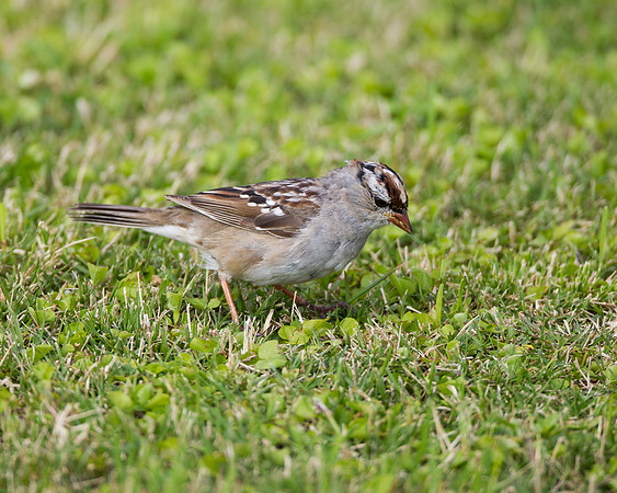 _MLL9028_April 07, 2013