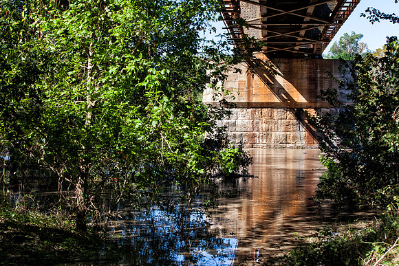Colorado River at Columbus 29.6 FT.IMG_5525 November 02, 2013