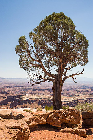 Canyonlands_M4L2574